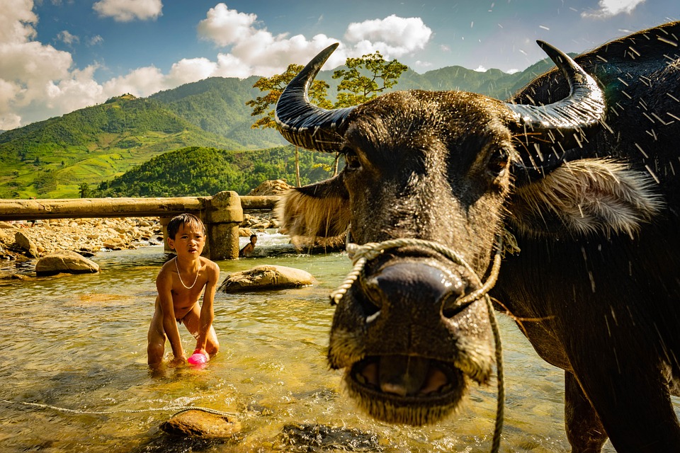 Топ хоккеистов: кто покорит лед в этом сезоне